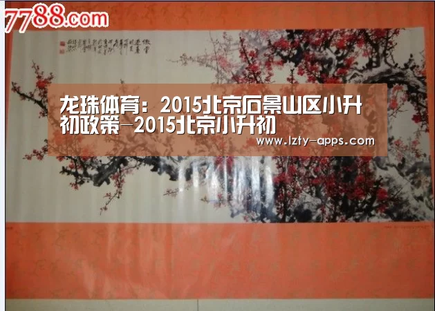龙珠体育