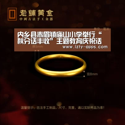 龙珠体育体育