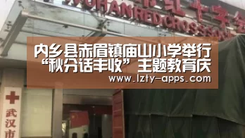 龙珠体育
