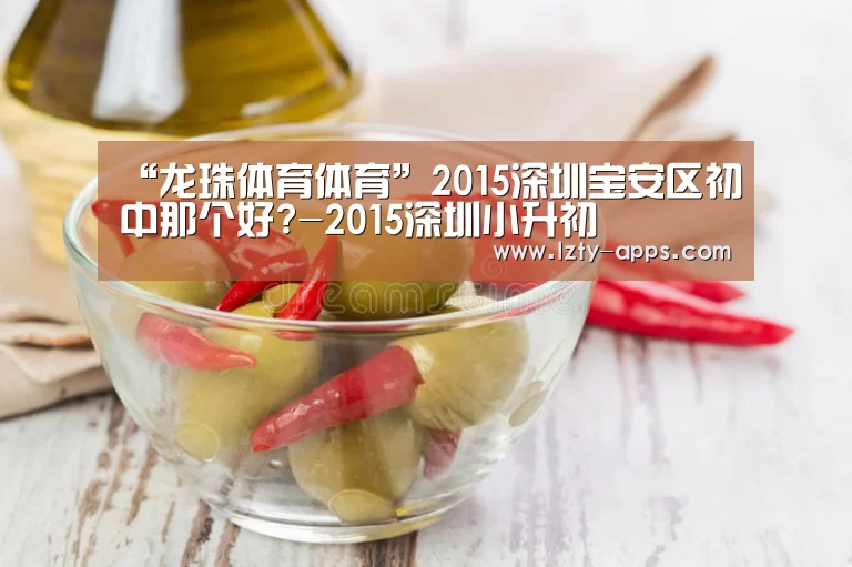 龙珠体育体育